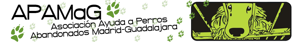 APAMAG Web Image